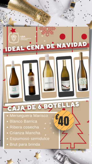 Caja de 6 botellas ideal cena de Navidad